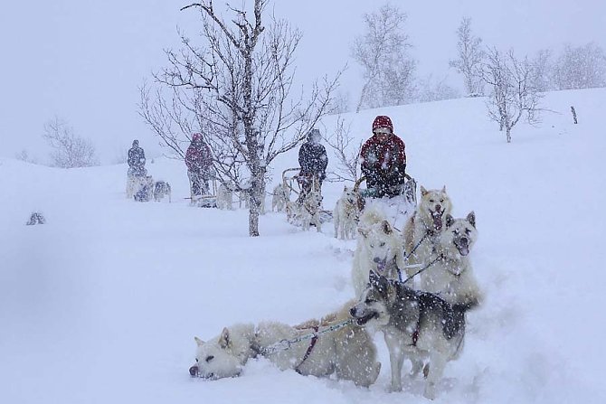 Exciting tour with children mushers