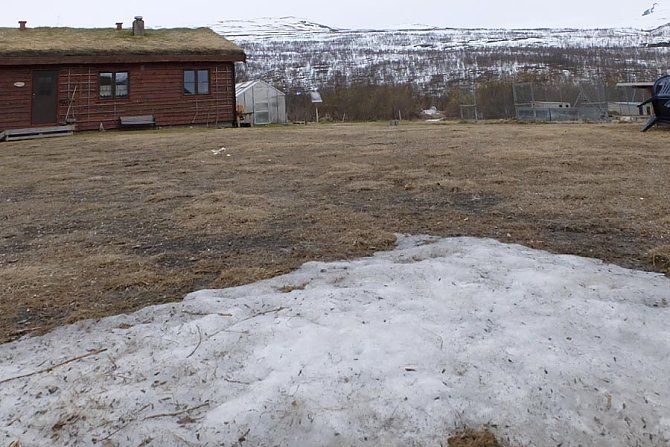 Der letzte Schnee...