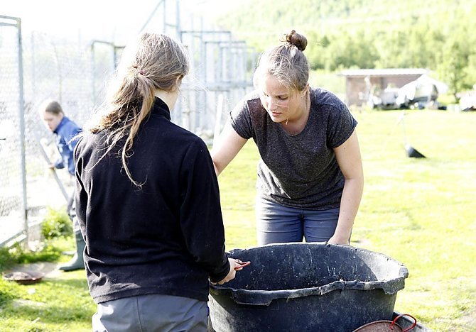 In den Startlöchern