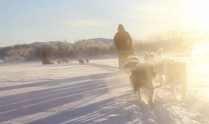 Neues Video: Winterwonderland Dividal