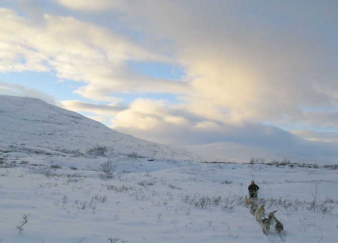 Winter