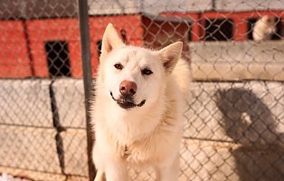 Ultricies nisi vel augue